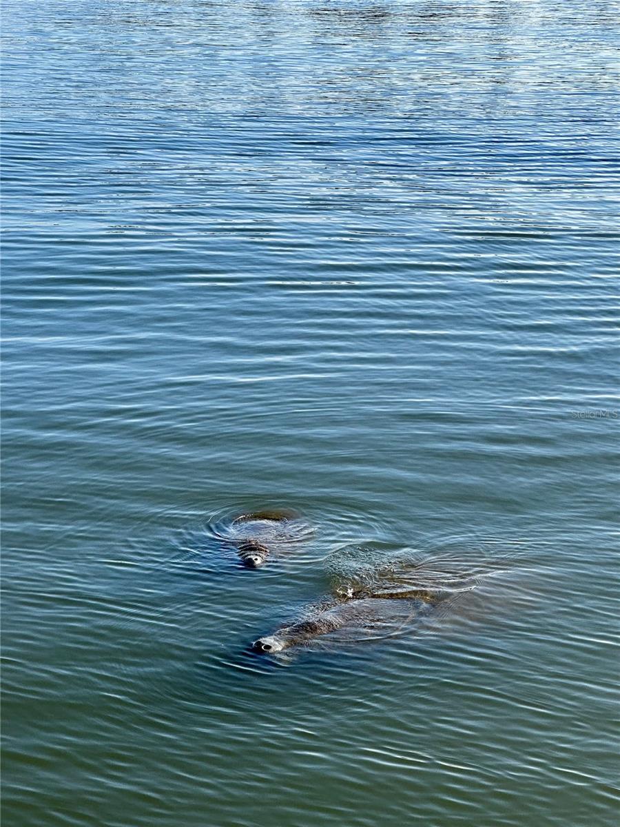 Image 11 of 34 For 19029 Us Highway 19 N 28b