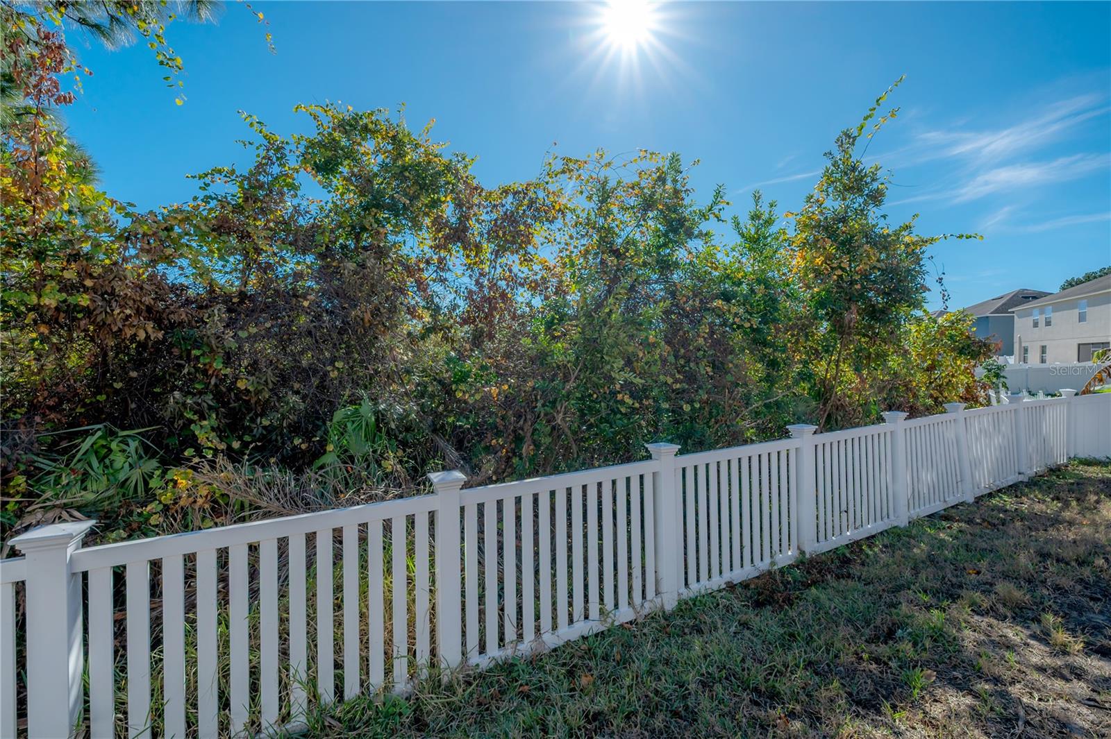 Image 38 of 40 For 12356 Cricklewood Drive