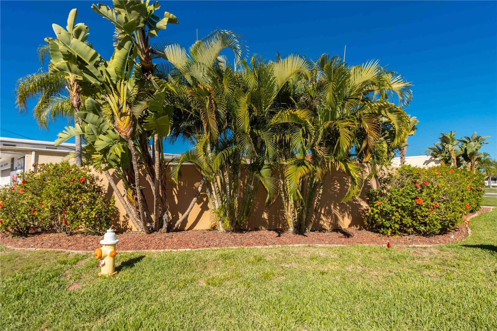 Image 44 of 63 For 824 Padua Lane