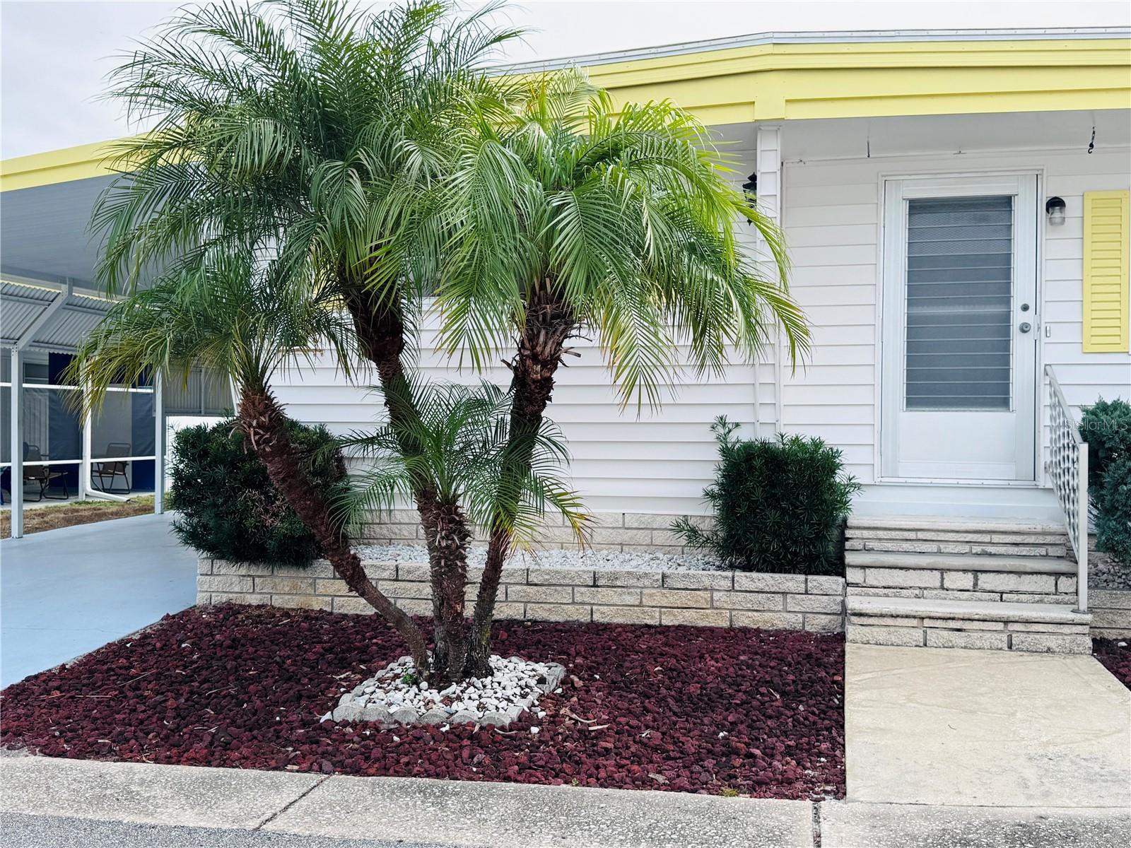 Listing photo id 30 for 2331 Belleair Road 715