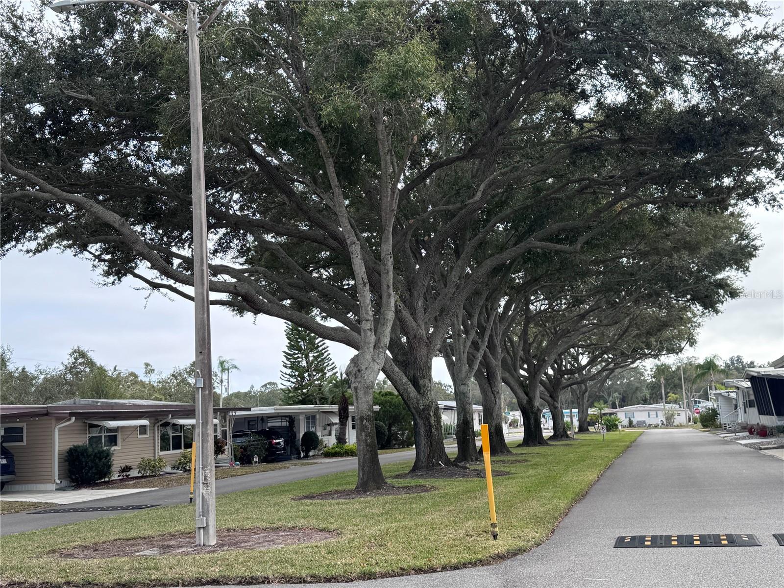 Listing photo id 36 for 2331 Belleair Road 715