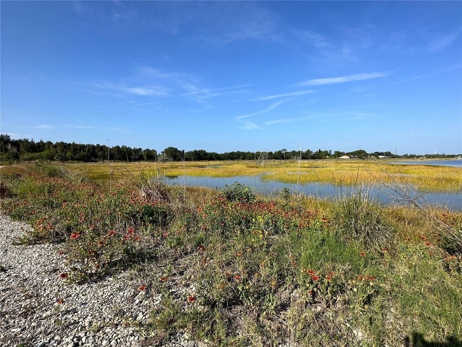 Image 44 of 72 For 4429 Great Lakes Drive N