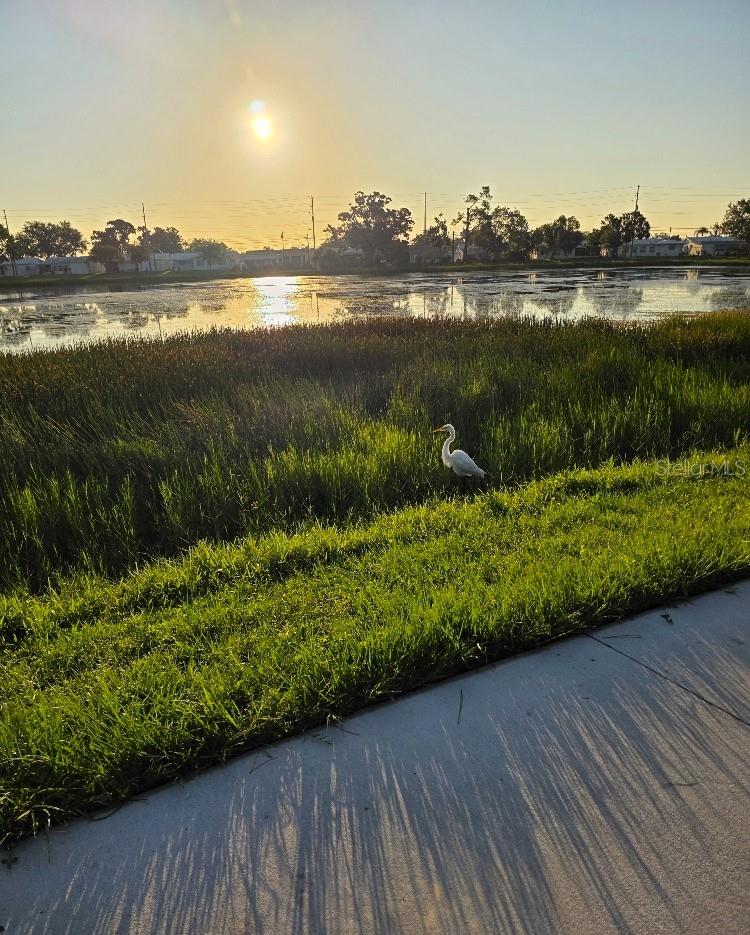 Image 60 of 72 For 4429 Great Lakes Drive N