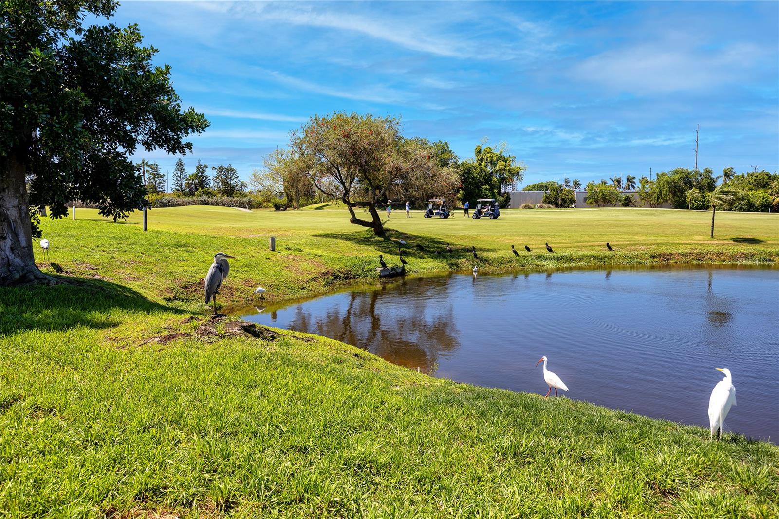 Image 36 of 56 For 6113 Palma Del Mar Boulevard S 221