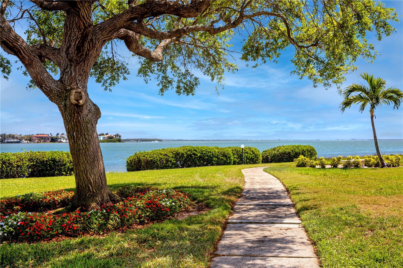 Image 40 of 56 For 6113 Palma Del Mar Boulevard S 221