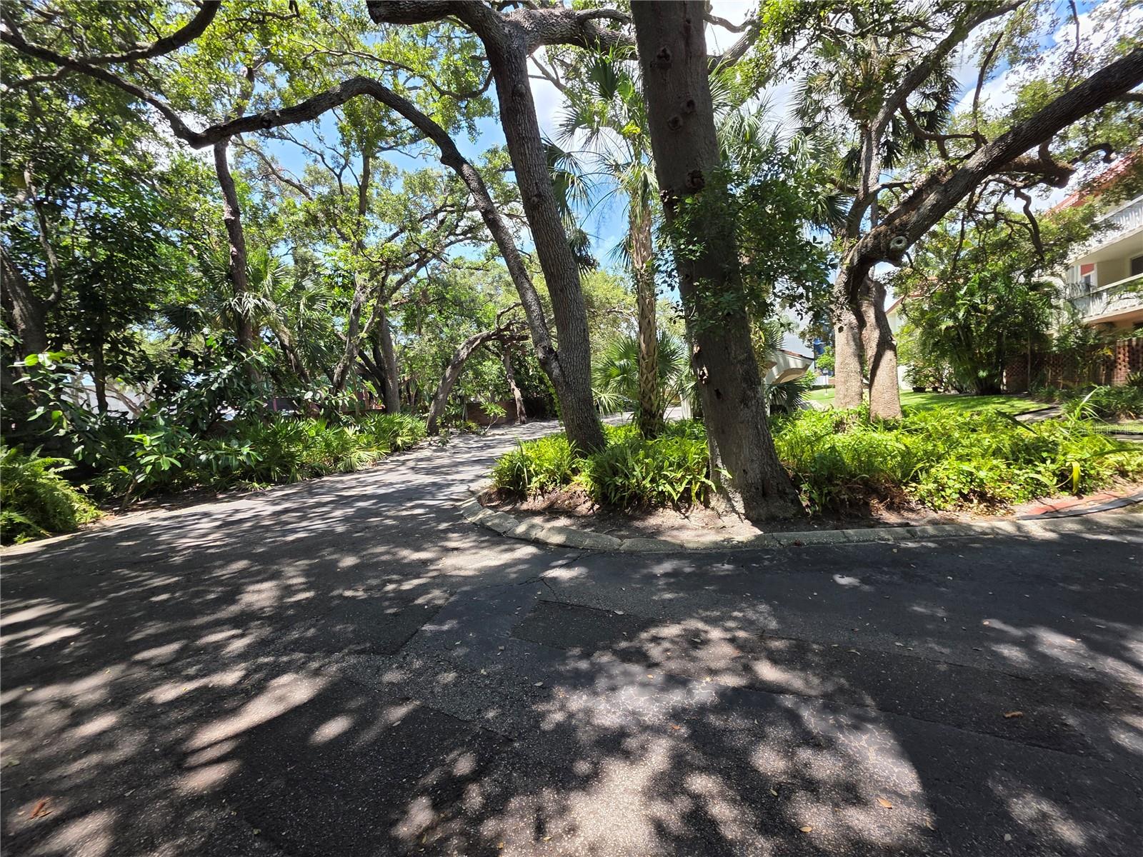 Image 11 of 45 For 1012 Pearce Drive 304