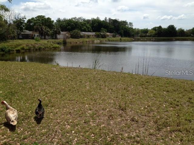 Image 14 of 18 For 10202 Bonnie Bay Court