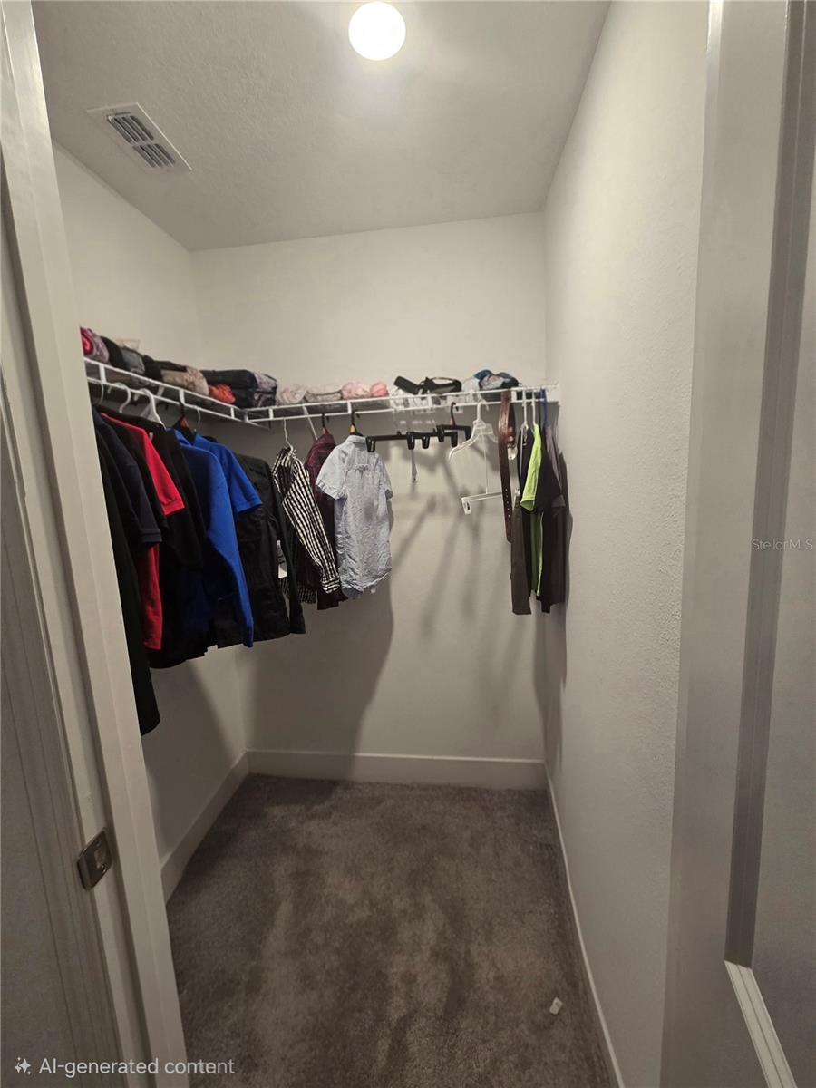 Image 22 of 31 For 13337 Sunset Sapphire Court