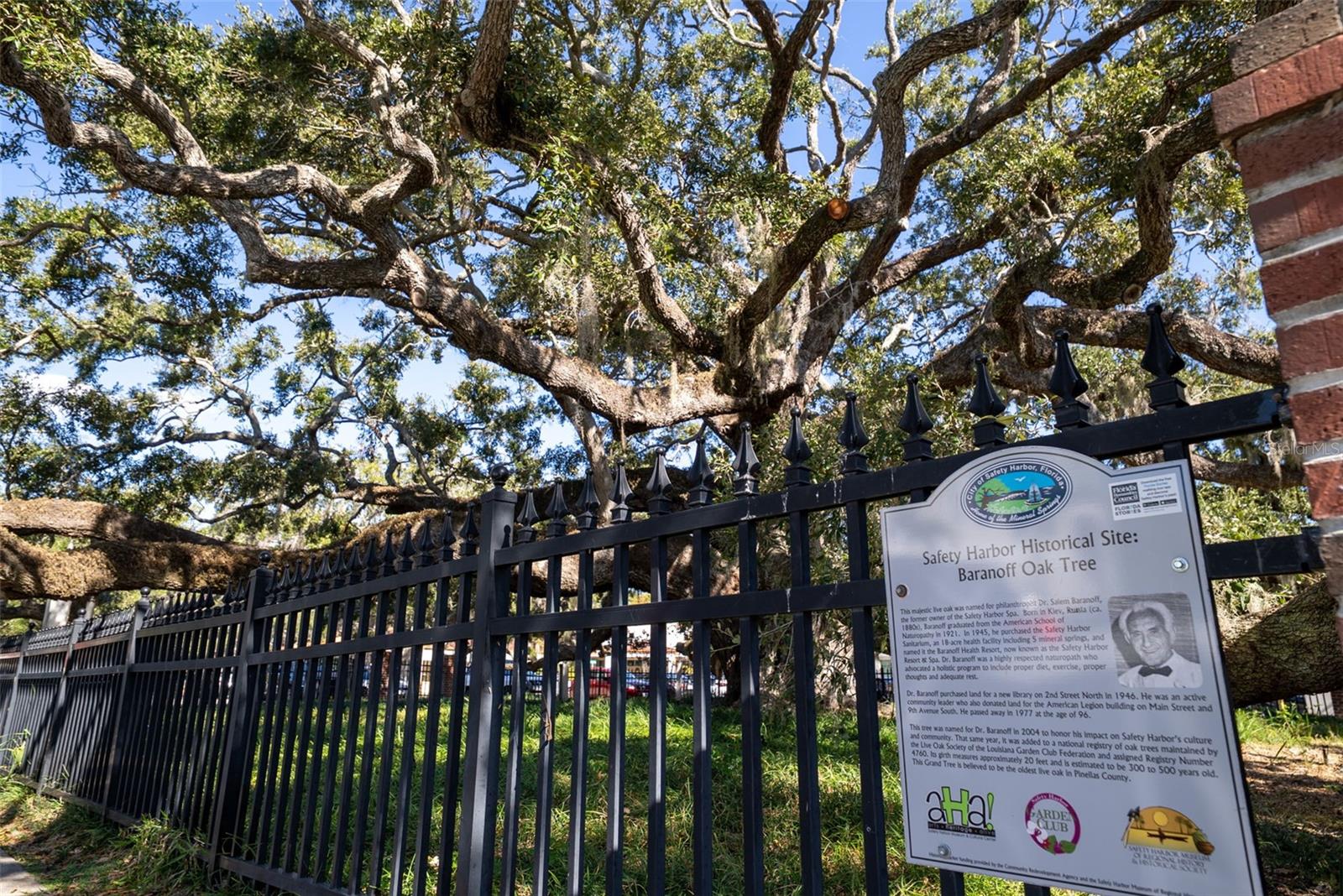 Image 19 of 41 For 244 Iron Age Street