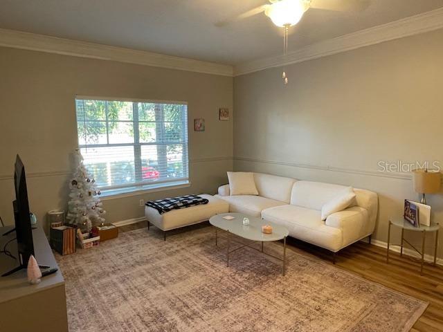 Image 7 of 17 For 4207 Dale Mabry Highway 5206