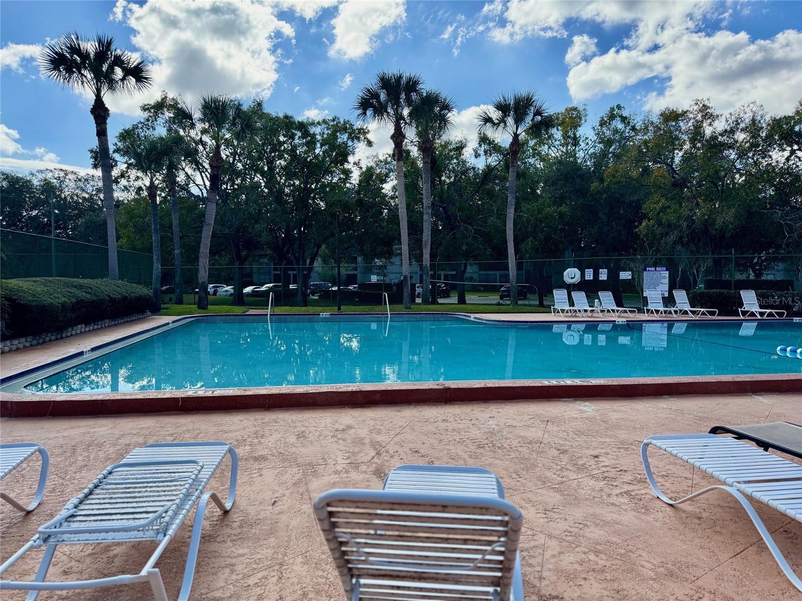 Image 17 of 19 For 14313 Hanging Moss Circle 201