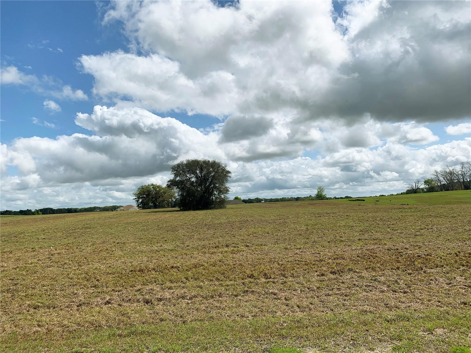 Image 17 of 28 For 21635 10th Street