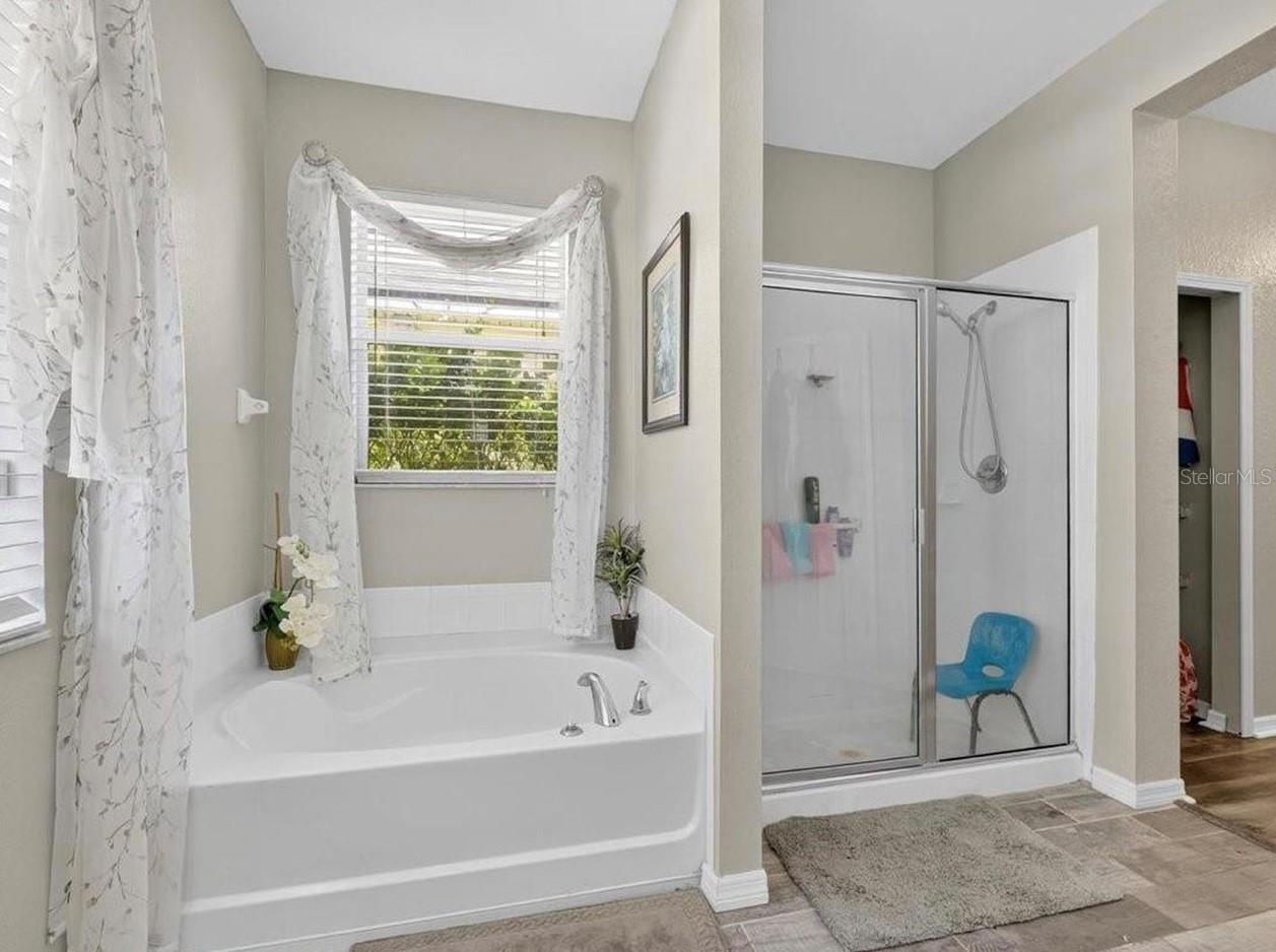 Image 28 of 41 For 11414 Bridge Pine Drive