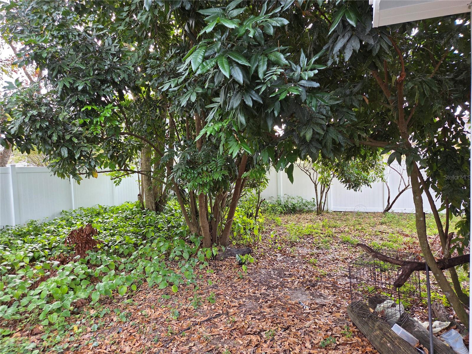 Image 19 of 19 For 24914 Silversmith Drive