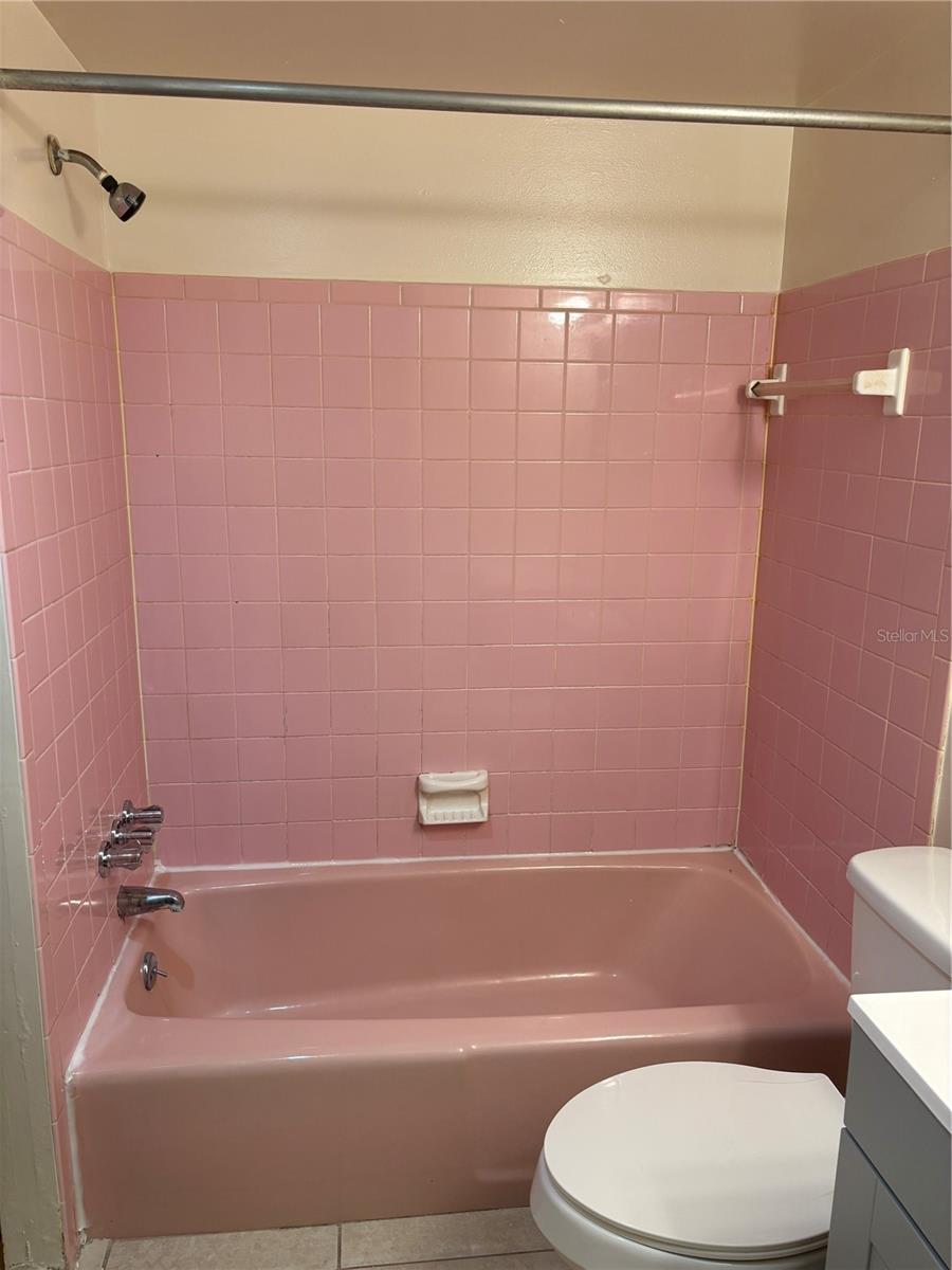 Image 18 of 22 For 1008 Pinellas Street 11