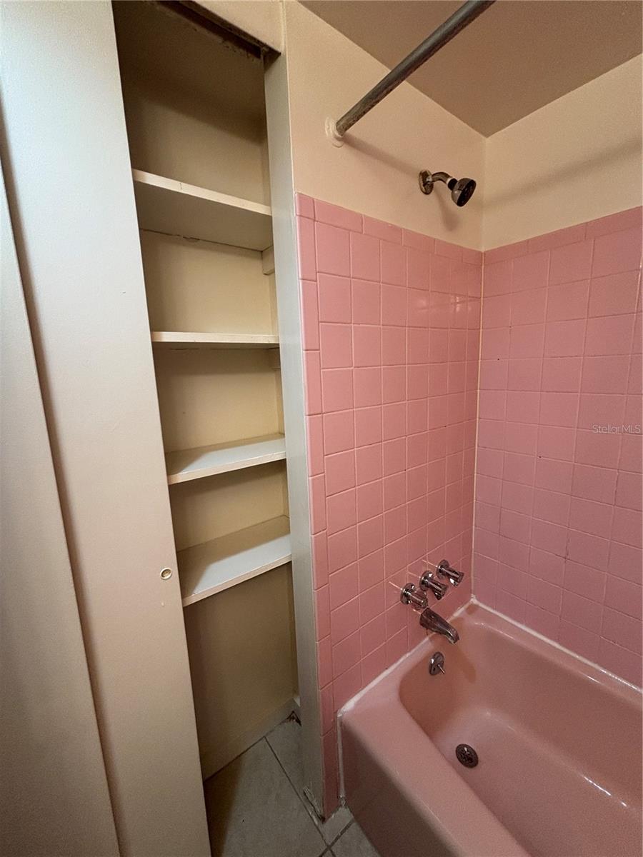 Image 21 of 22 For 1008 Pinellas Street 11