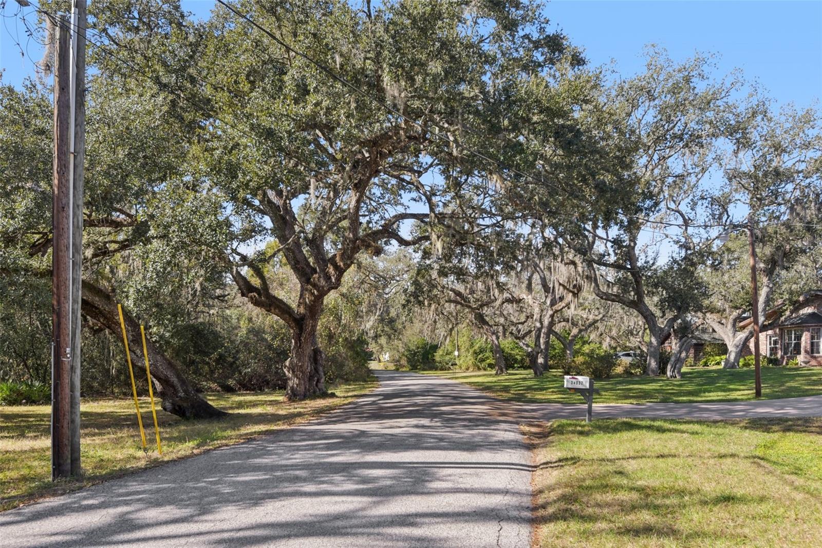 Image 28 of 33 For 34037 Woodland Circle