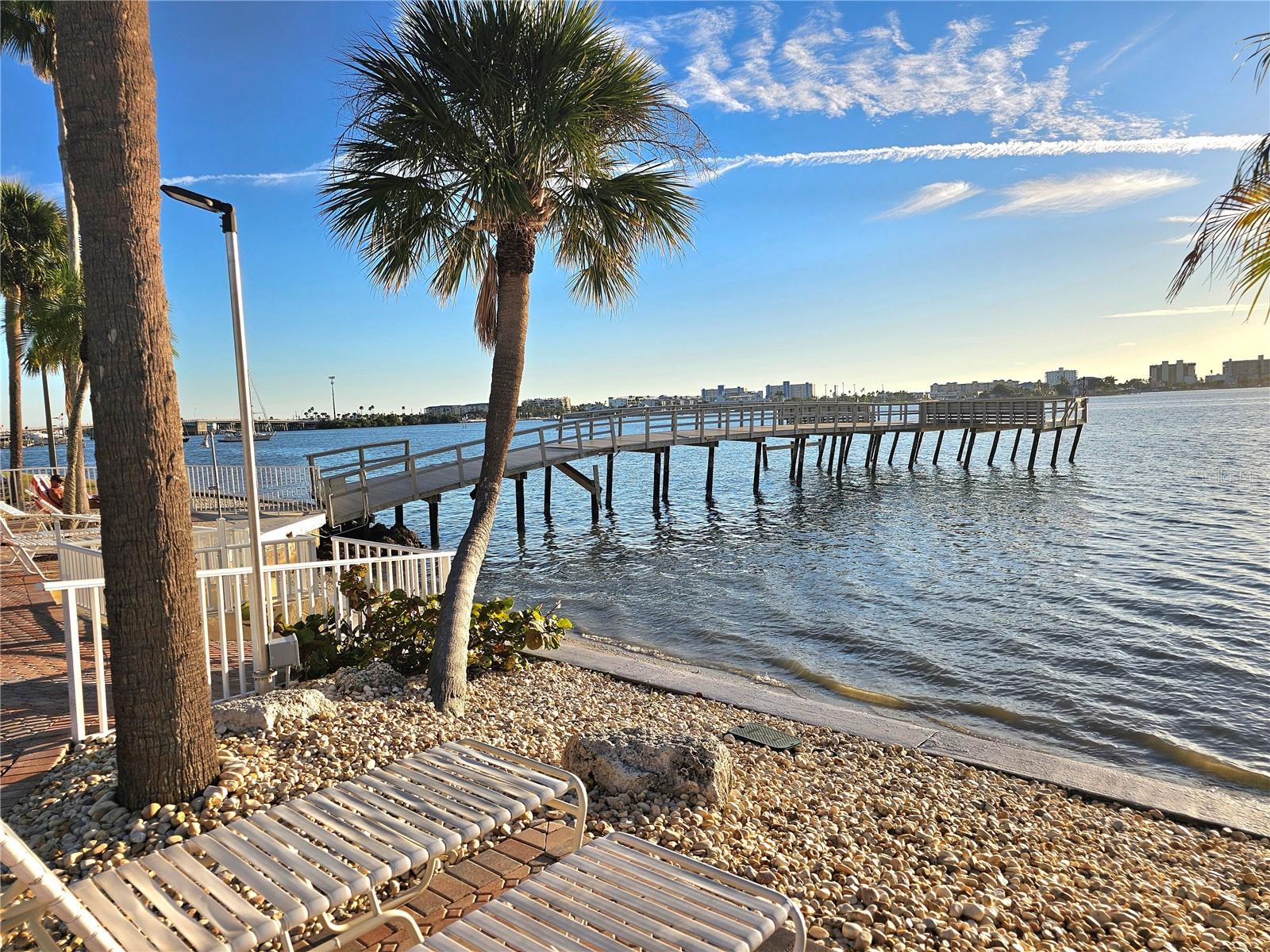 Image 39 of 42 For 4525 Cove Circle 1002