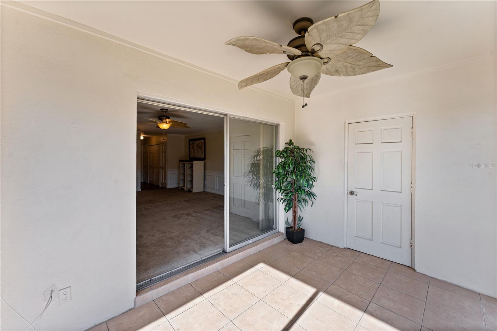 Image 11 of 23 For 10316 Carrollwood Court 57