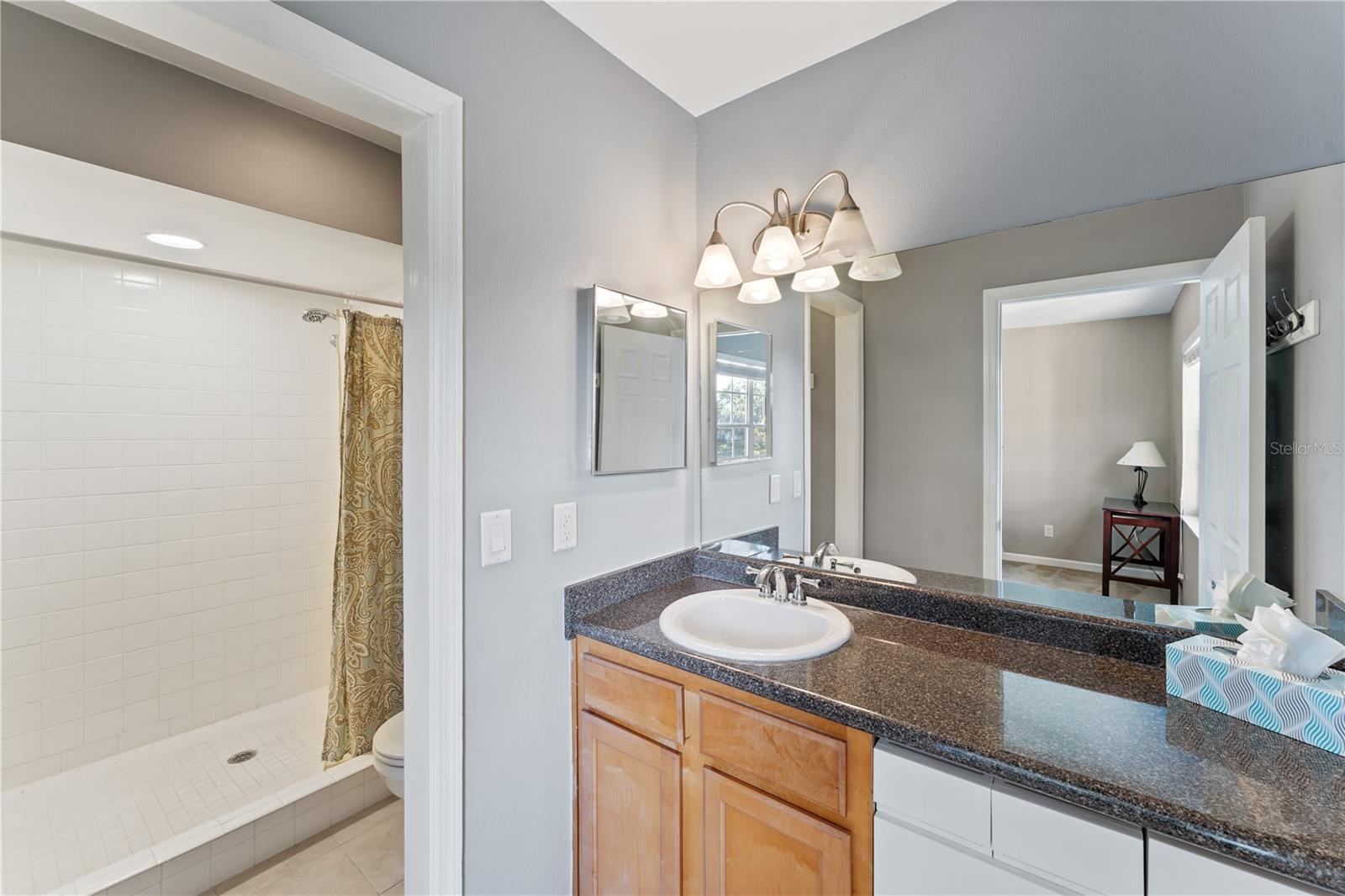 Image 13 of 23 For 10316 Carrollwood Court 57