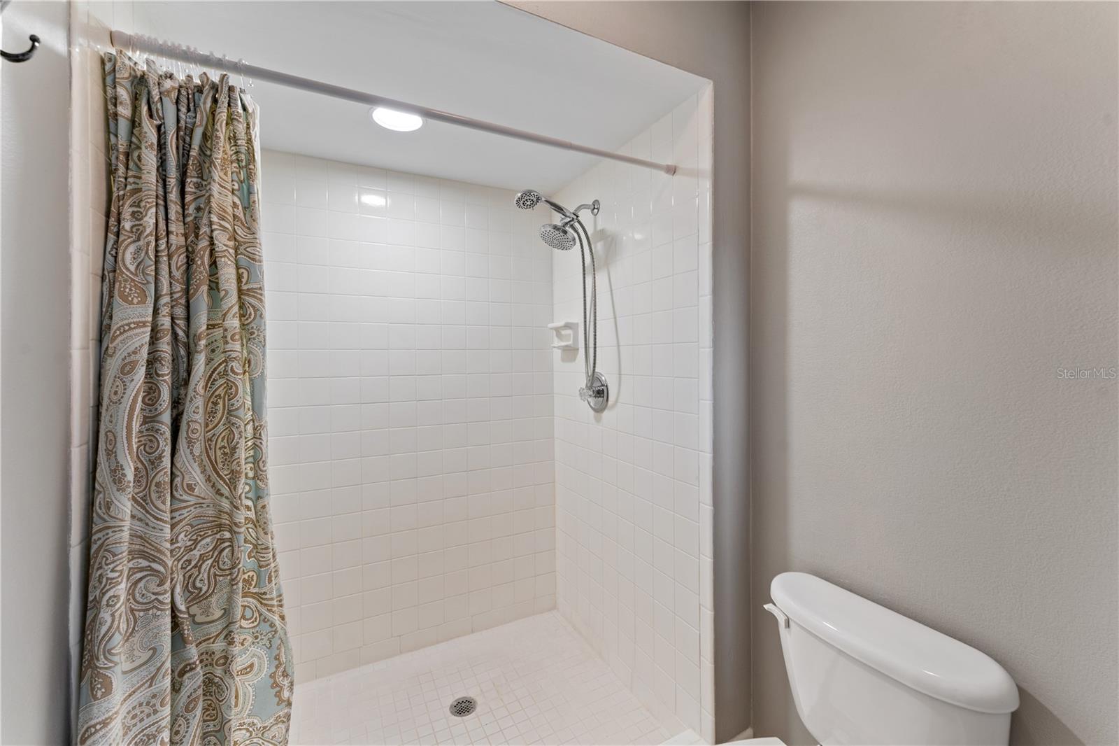 Image 14 of 23 For 10316 Carrollwood Court 57