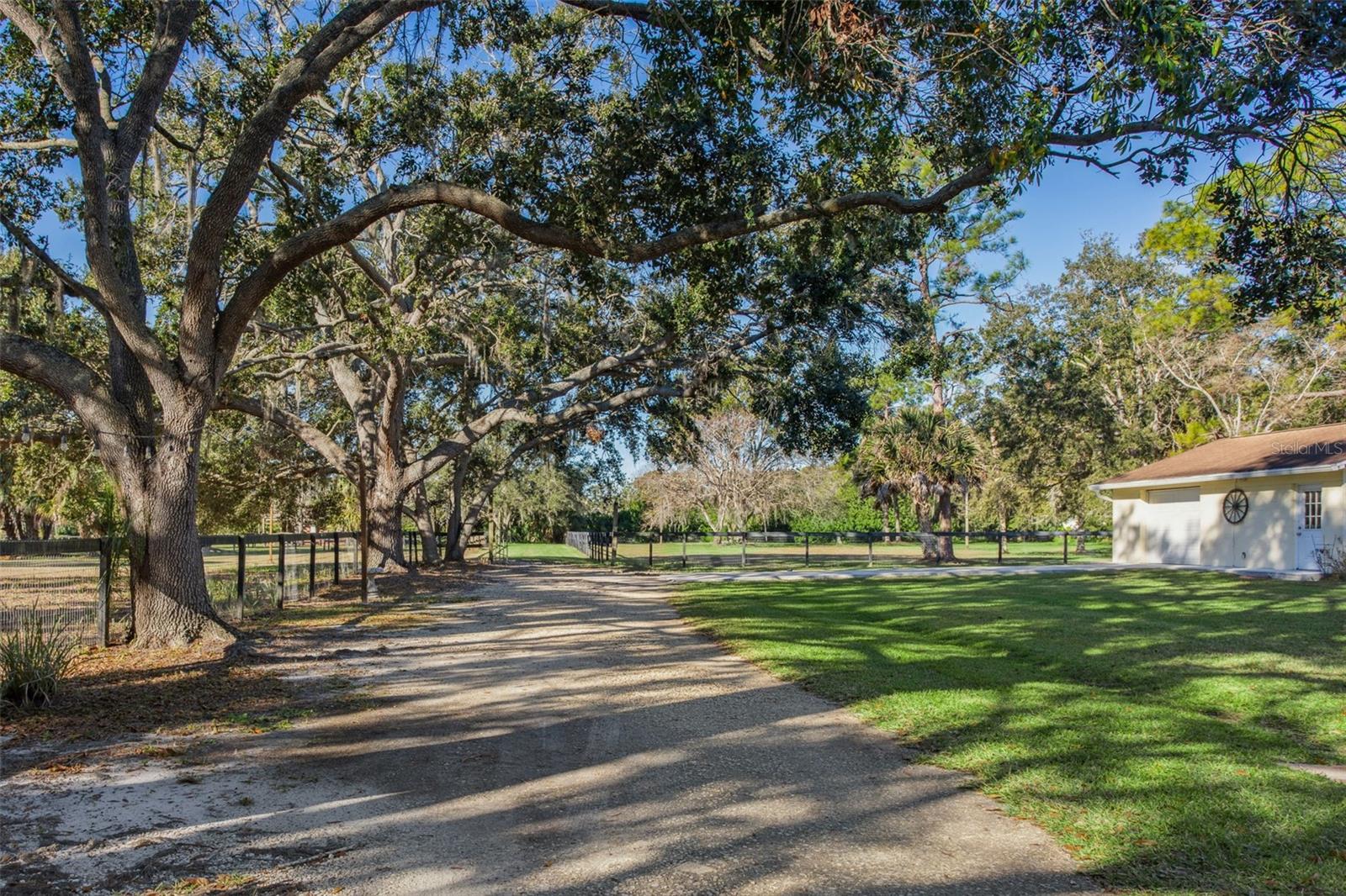 Image 13 of 33 For 8132 Honeybee Lane