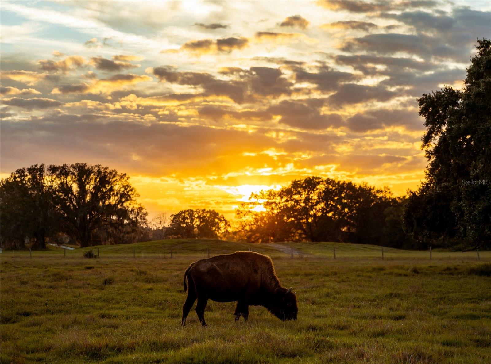 Image 23 of 26 For 422 Longhorn Drive