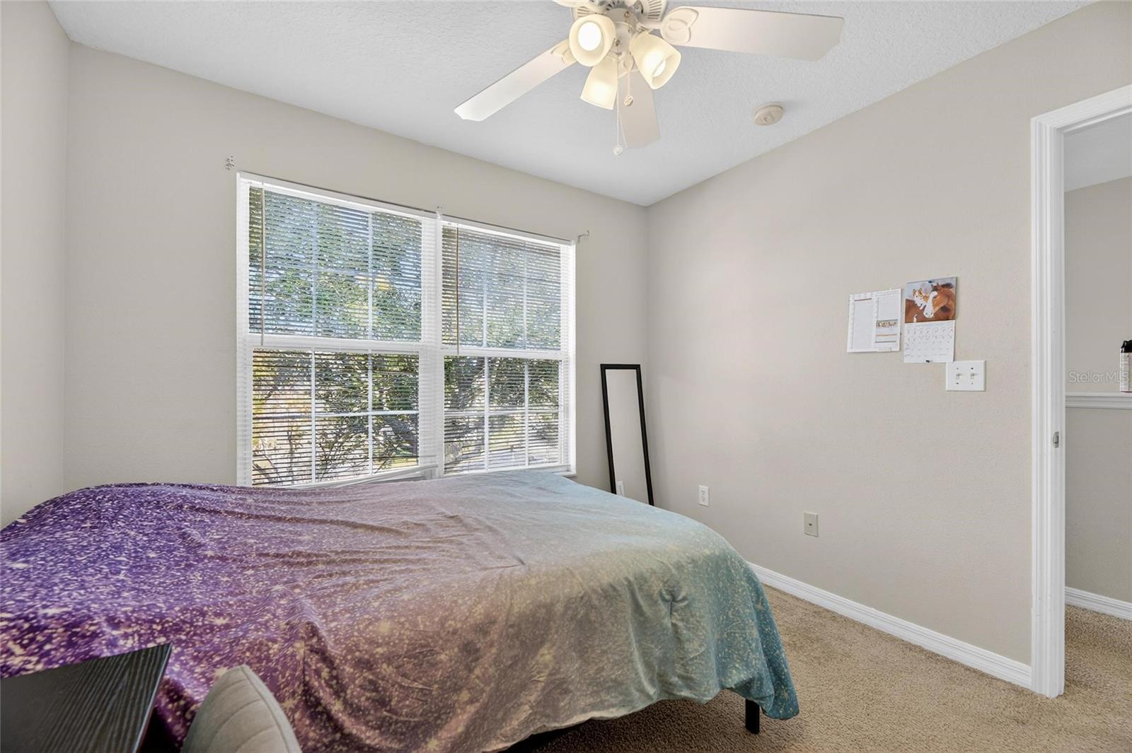 Image 22 of 48 For 7520 Dragon Fly Loop