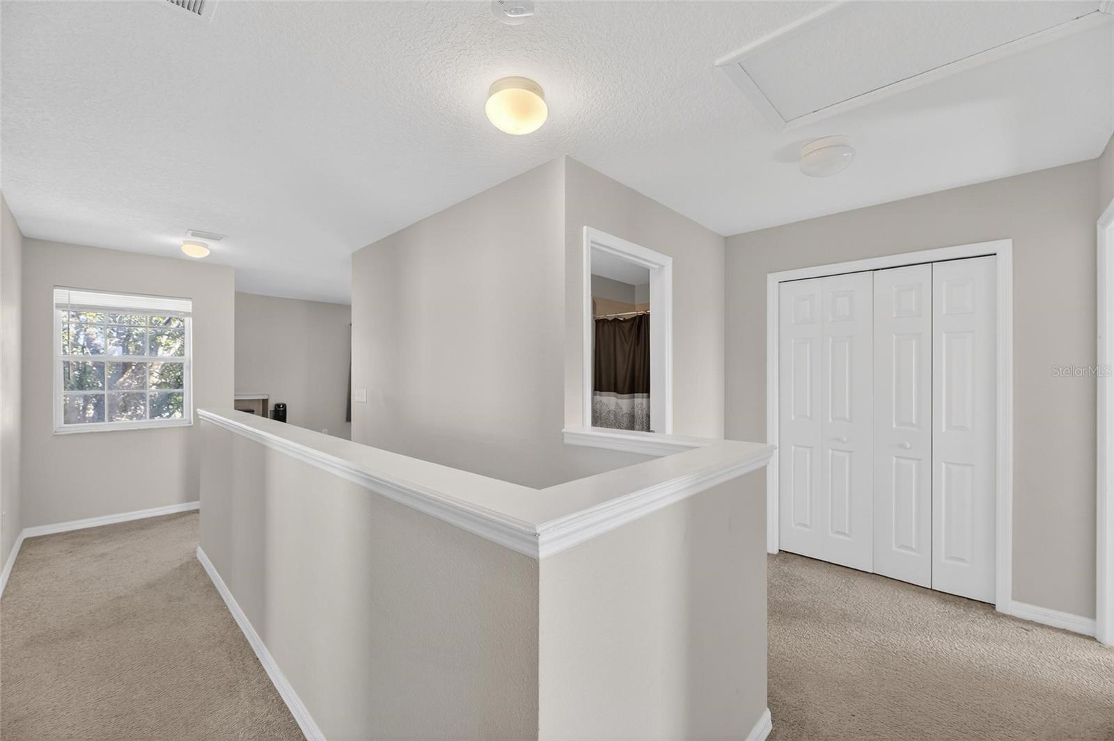 Image 28 of 48 For 7520 Dragon Fly Loop