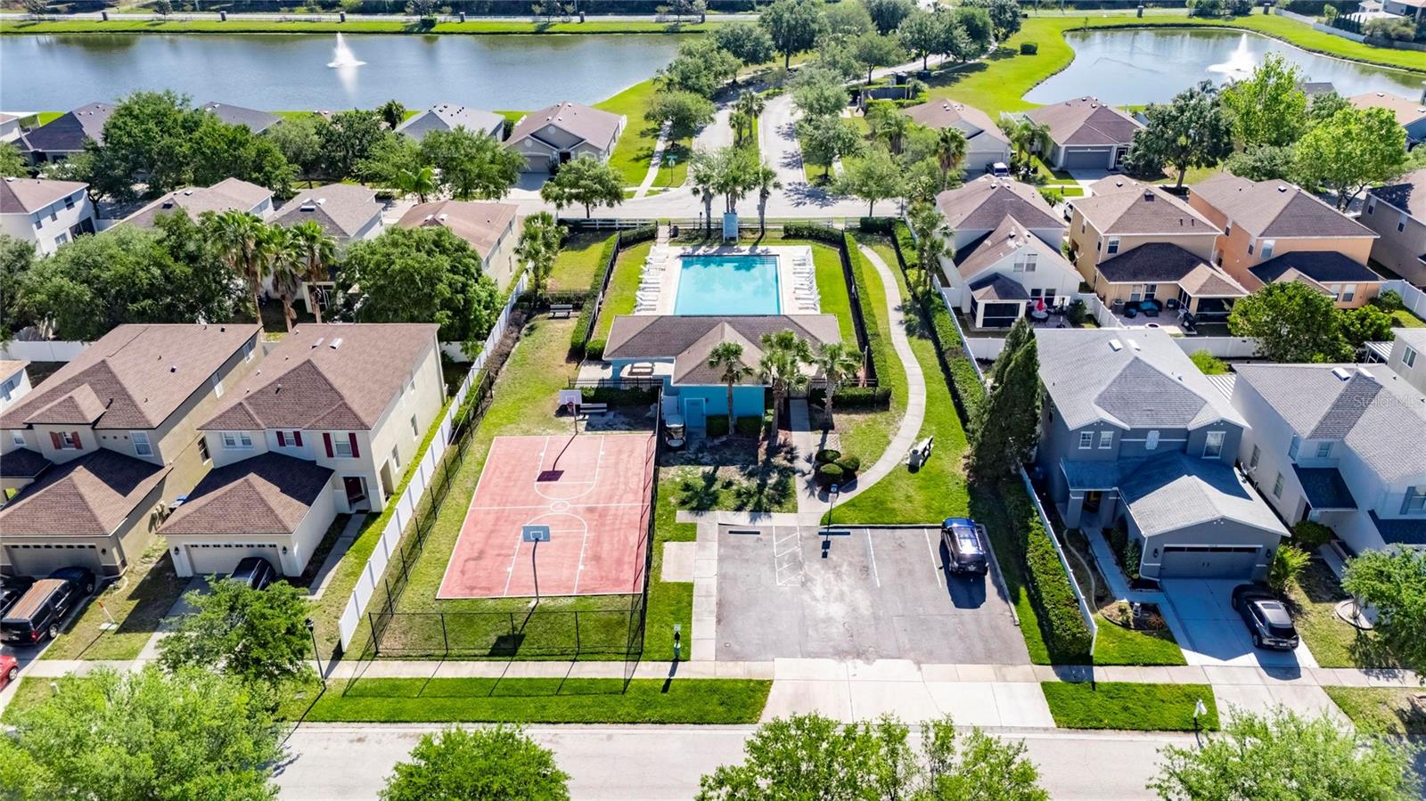 Image 47 of 48 For 7520 Dragon Fly Loop