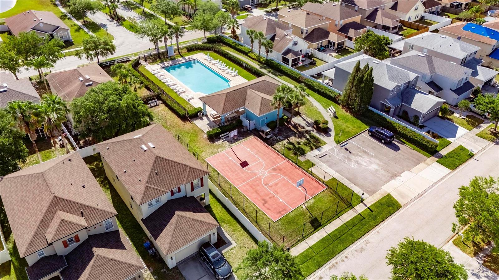 Image 48 of 48 For 7520 Dragon Fly Loop