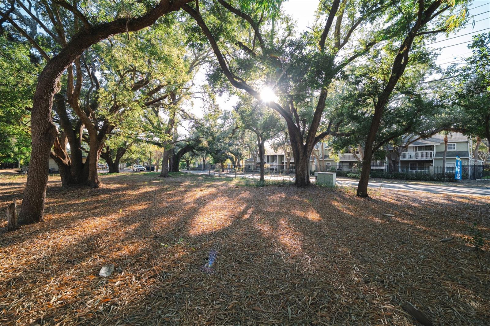 Listing photo id 3 for 4913 Macdill Avenue