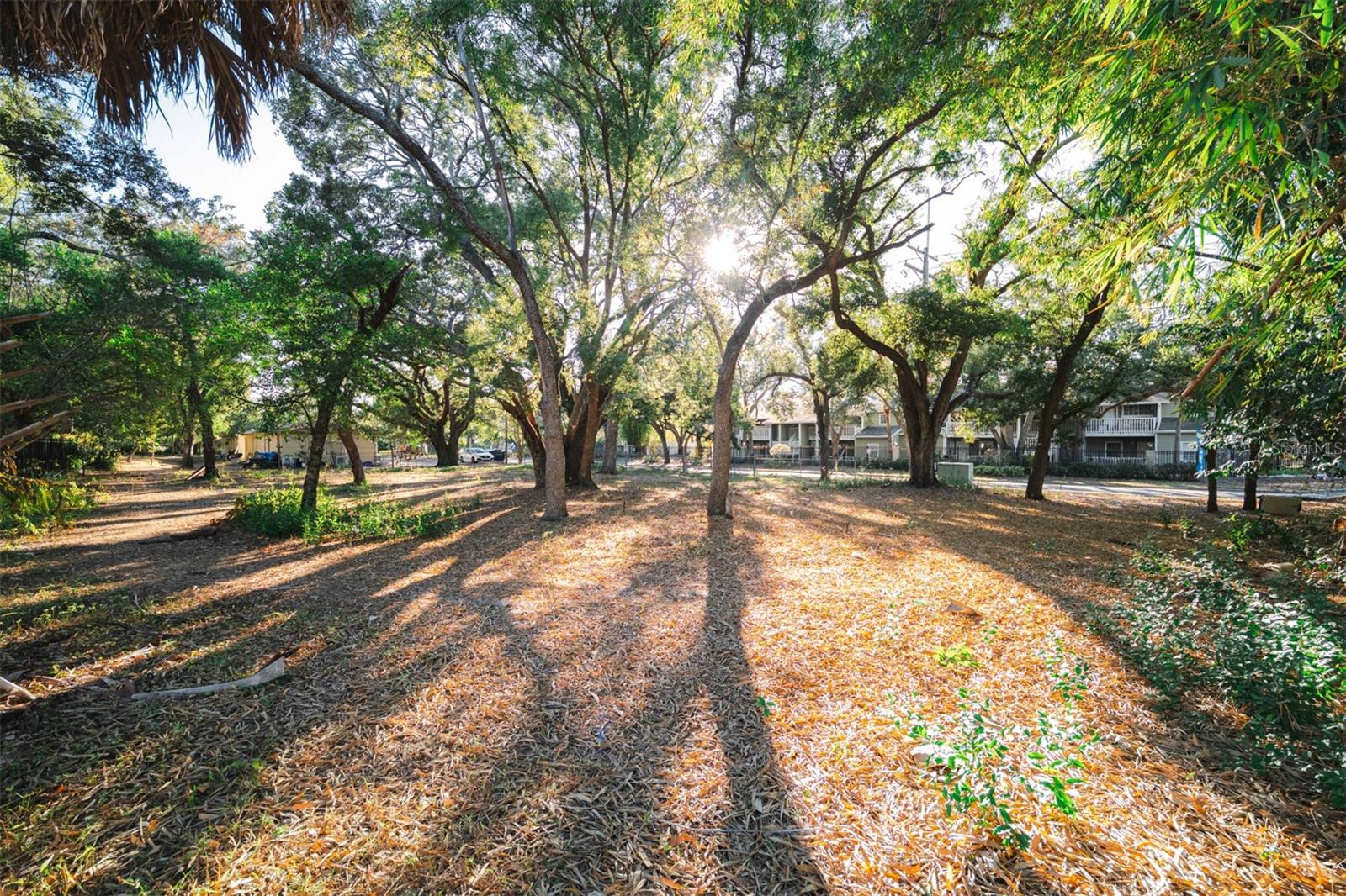 Listing photo id 5 for 4913 Macdill Avenue