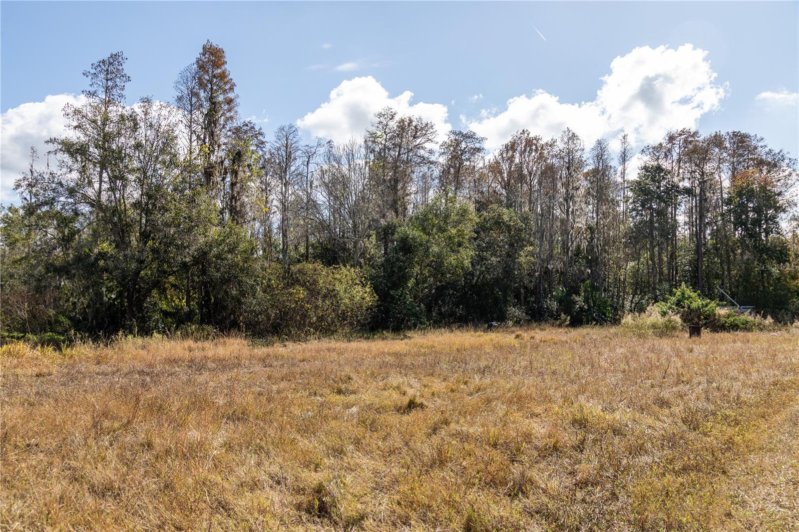 Image 12 of 16 For 11560 Tarpon Springs