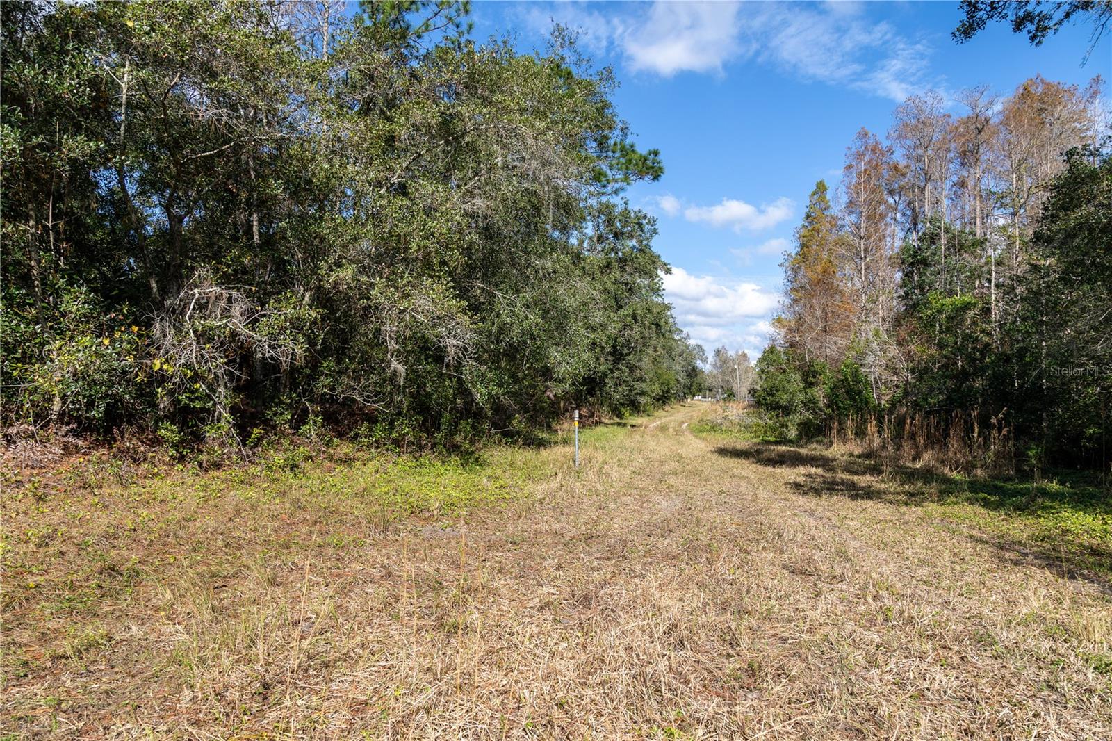 Image 13 of 16 For 11560 Tarpon Springs