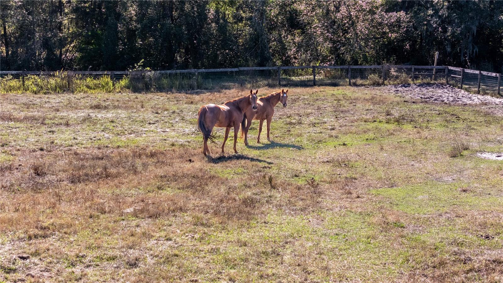Image 8 of 16 For 11560 Tarpon Springs