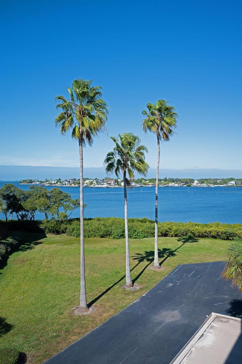 Image 15 of 51 For 2700 Bayshore Boulevard 9307