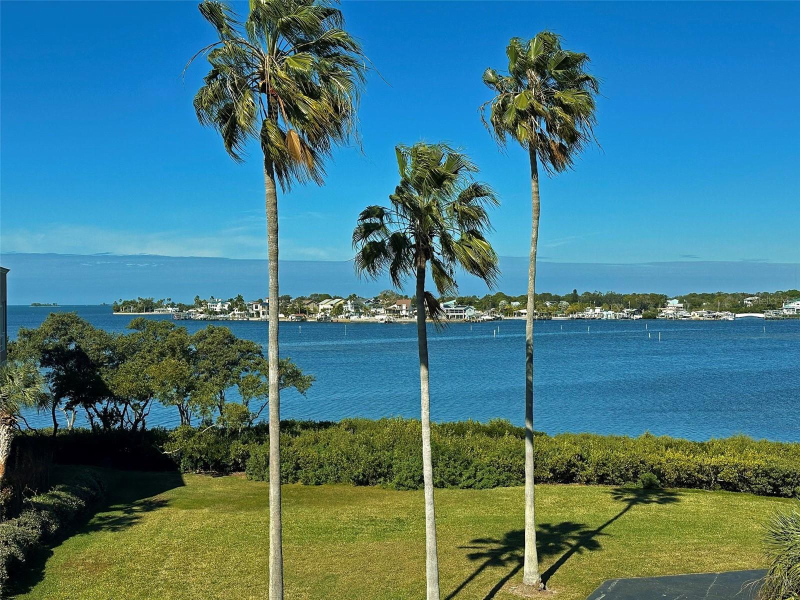 Image 4 of 51 For 2700 Bayshore Boulevard 9307