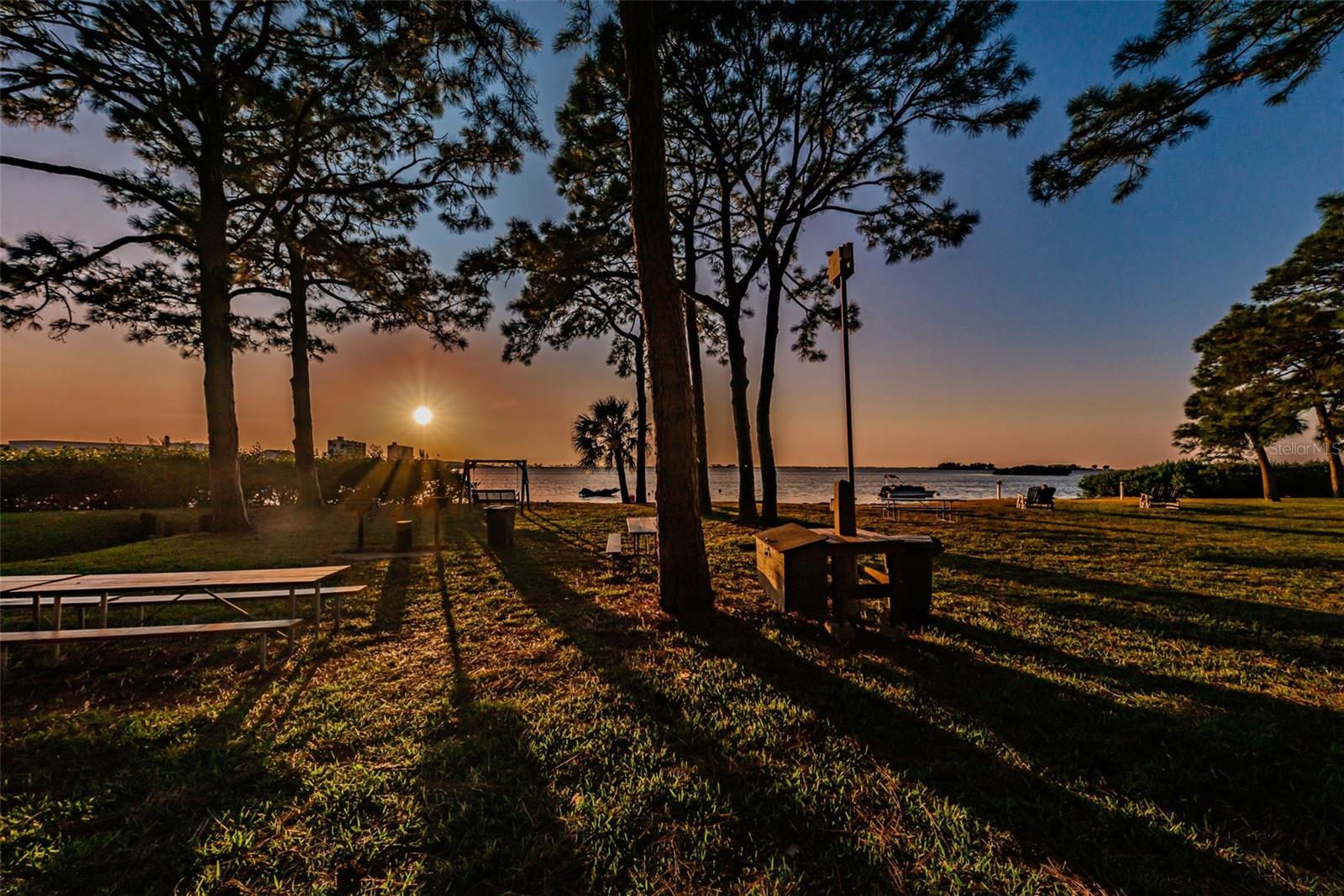 Image 49 of 51 For 2700 Bayshore Boulevard 9307