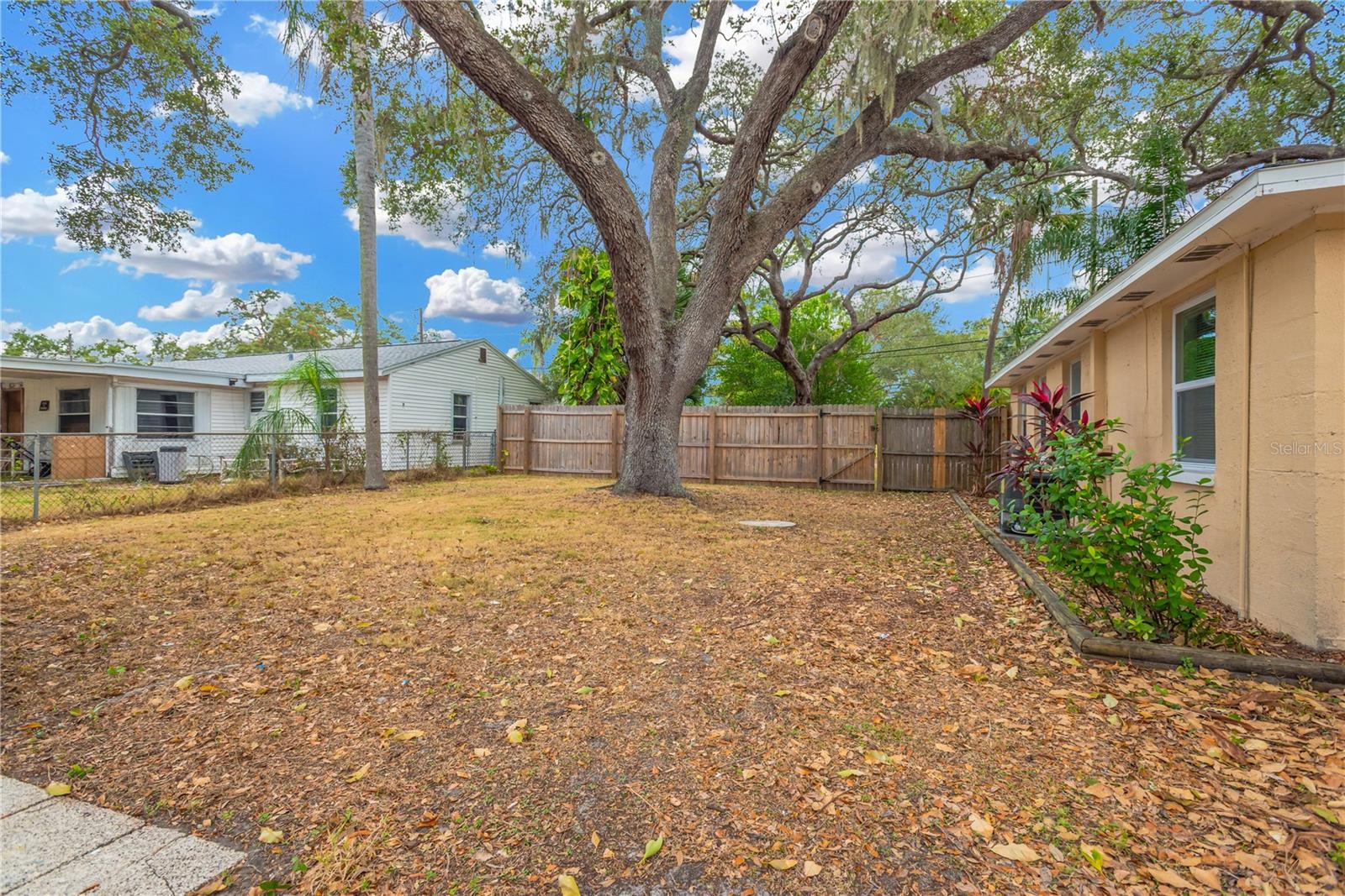 Image 23 of 28 For 559 Norfolk Street