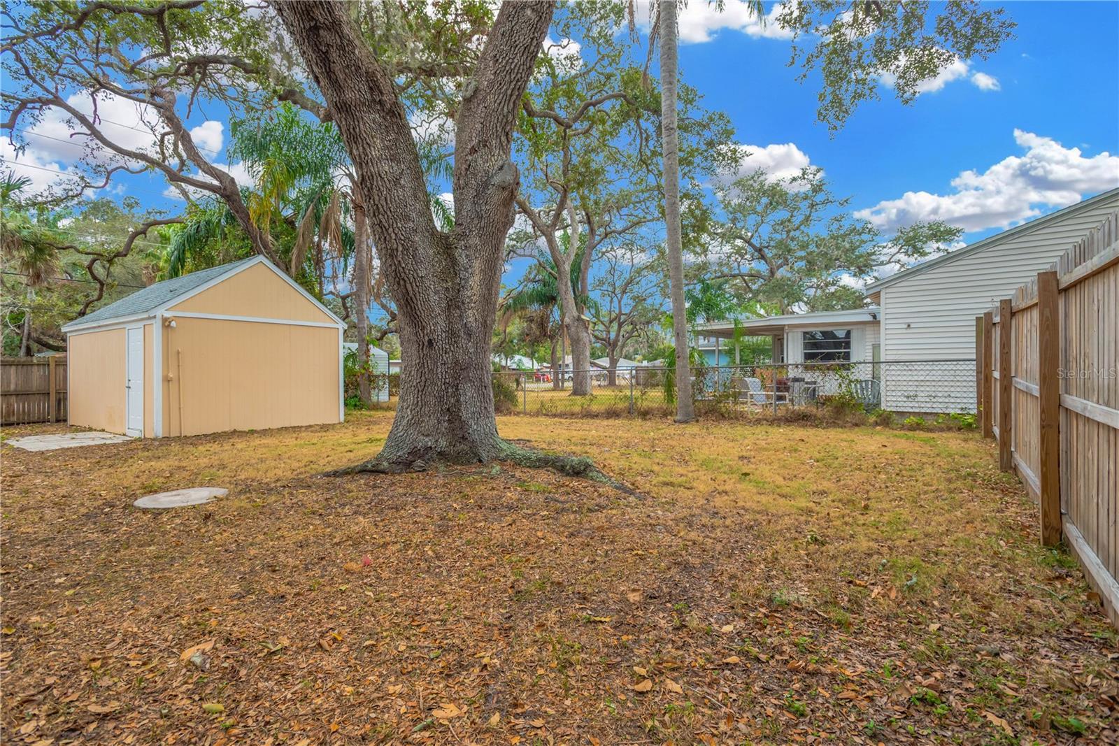 Image 27 of 28 For 559 Norfolk Street