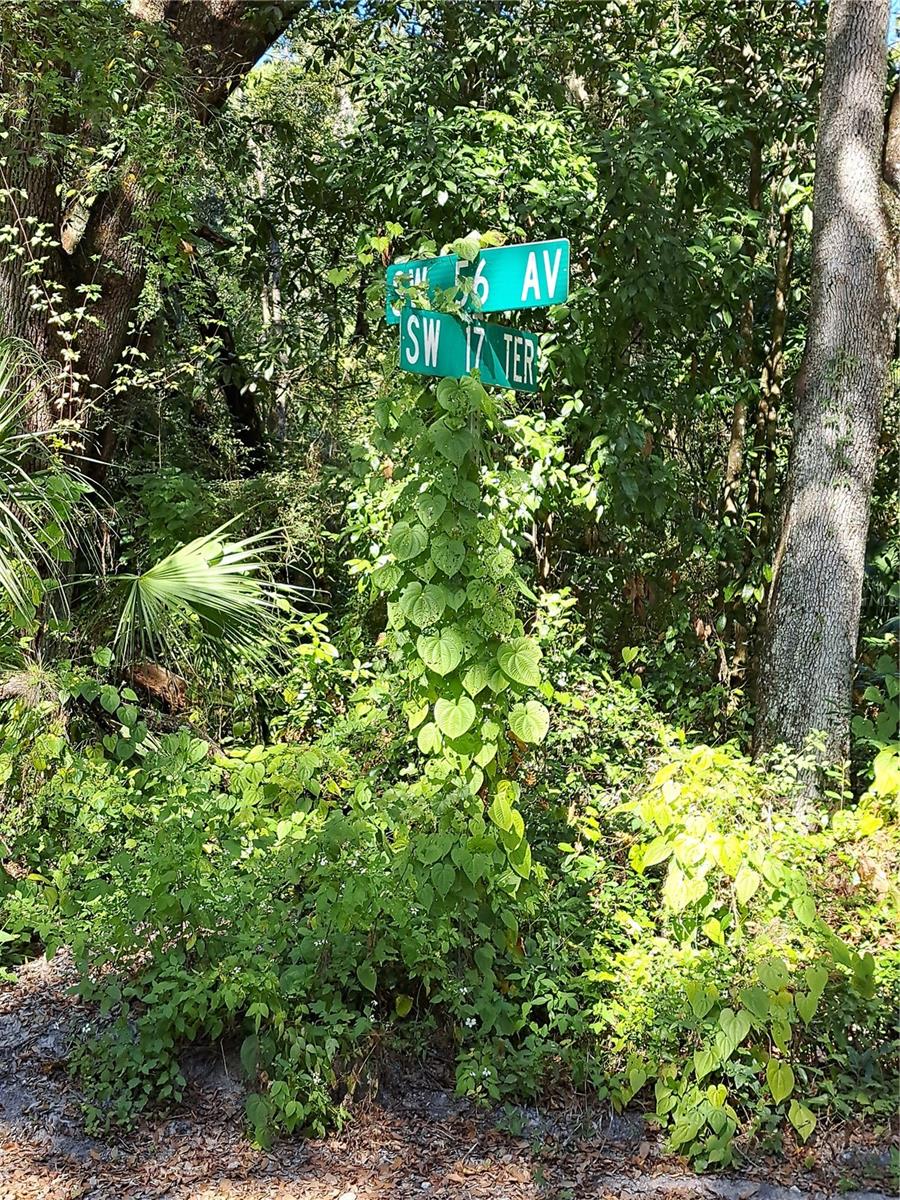 Image 3 of 3 For 0 56th Avenue