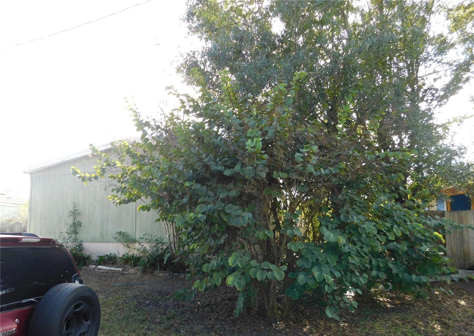 Image 3 of 3 For 2634 Sea Oats Circle N