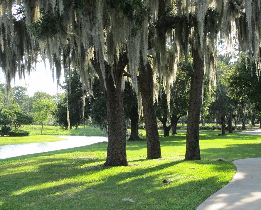 Listing photo id 59 for 6301 Glynborne Loop