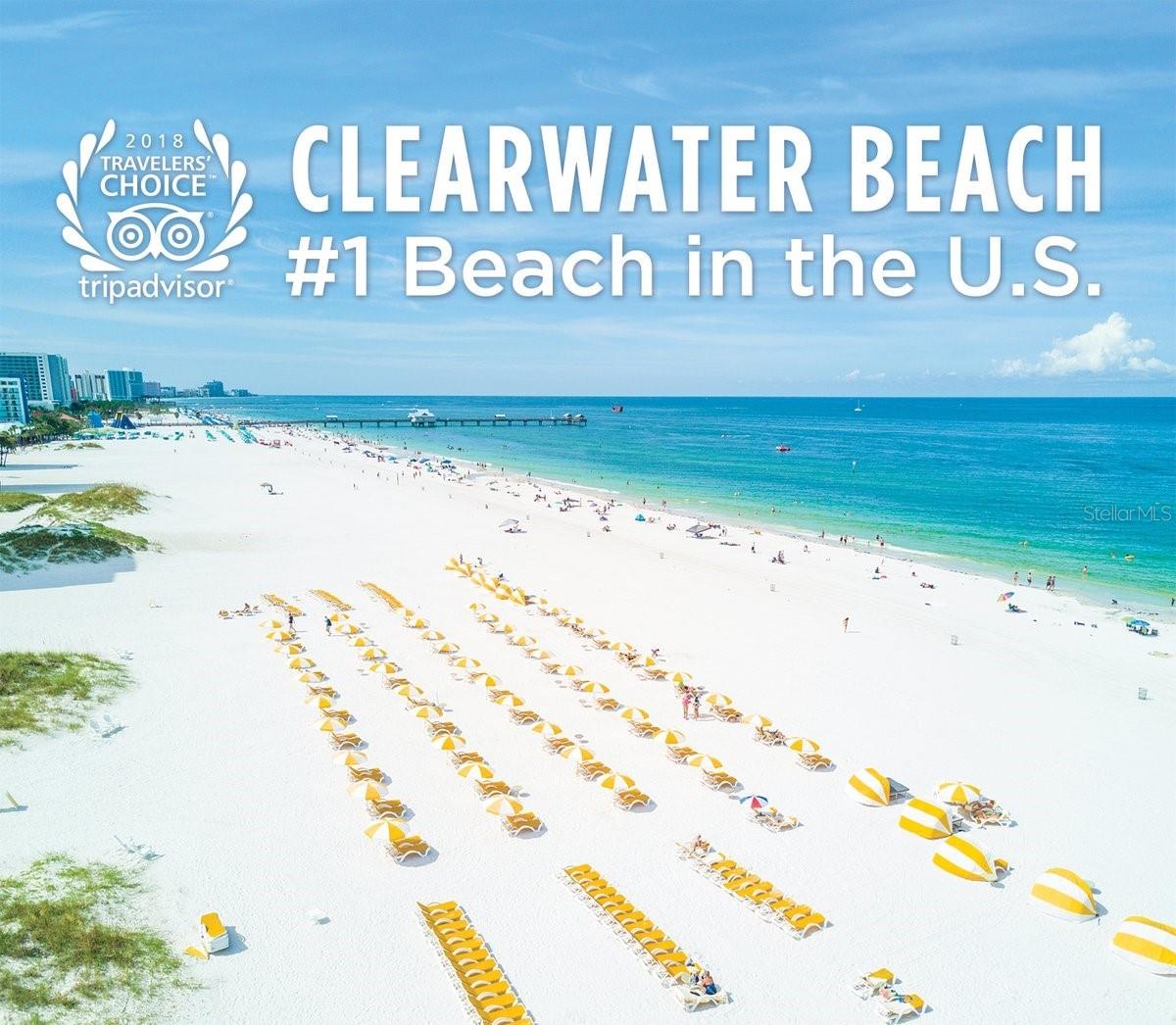 Image 27 of 31 For 1216 Missouri Avenue 323