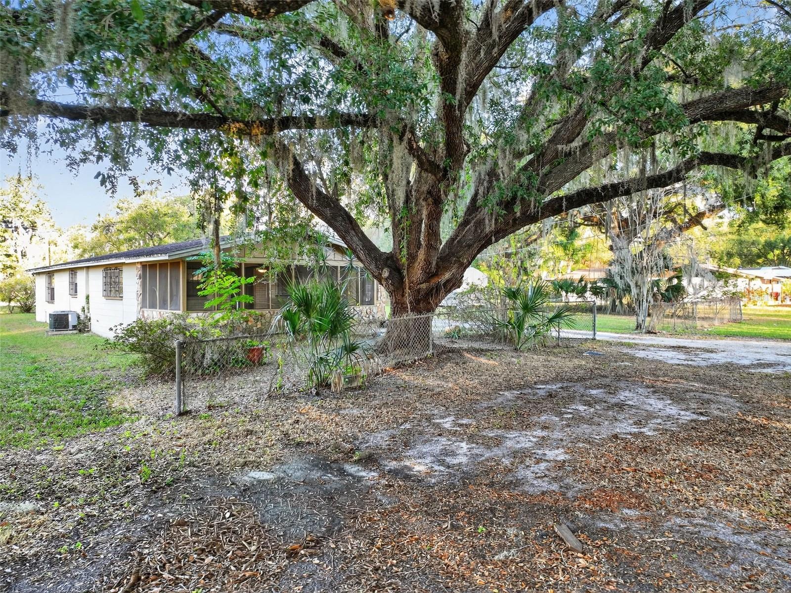 Listing photo id 47 for 614 Spruce Street