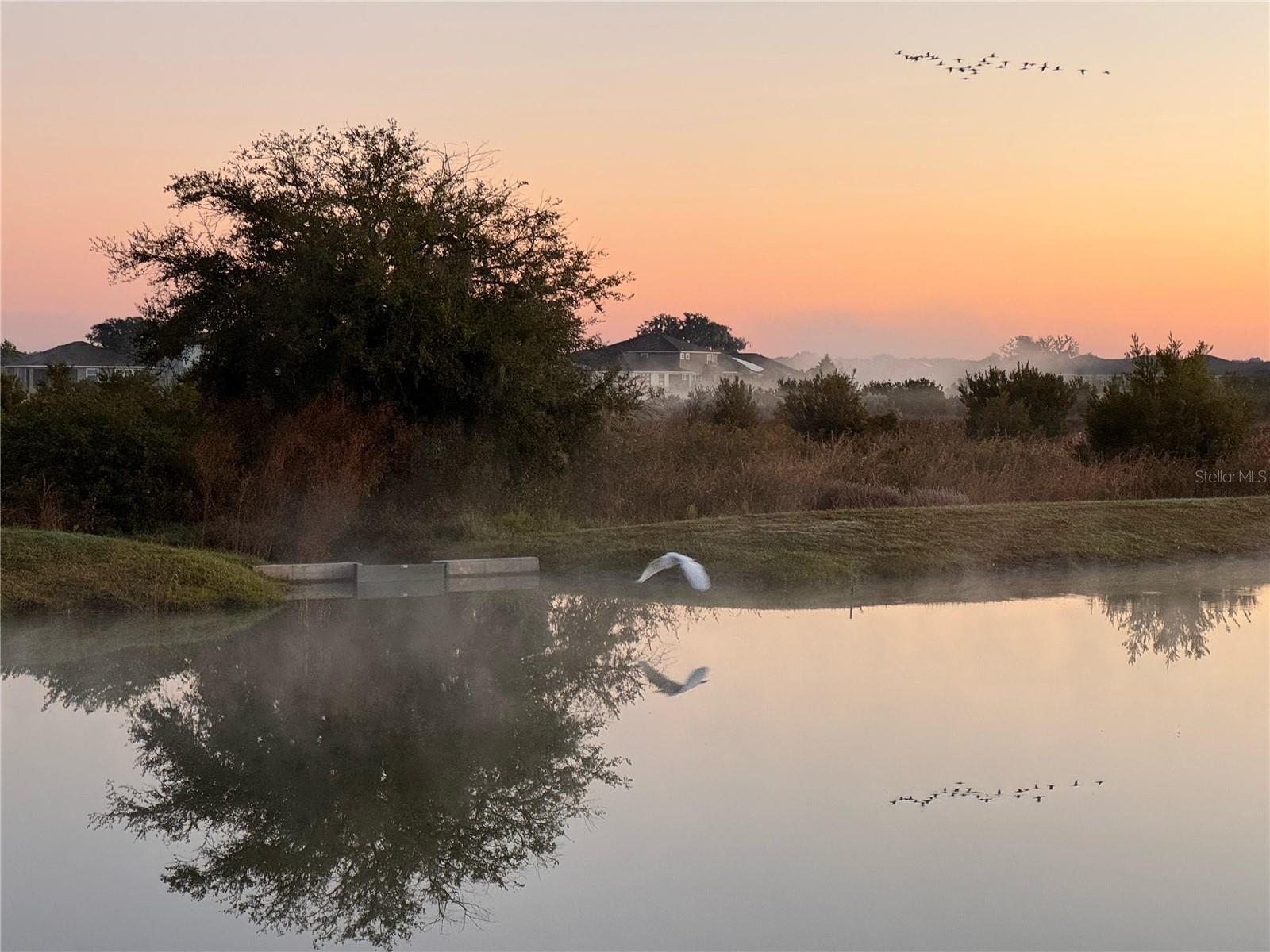 Image 62 of 77 For 10559 Bridgegate Heights Loop