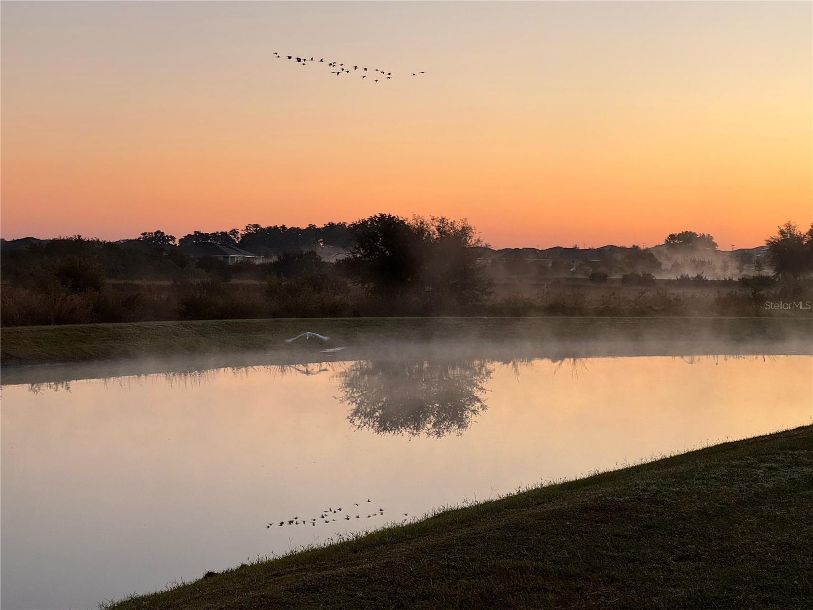 Image 63 of 77 For 10559 Bridgegate Heights Loop
