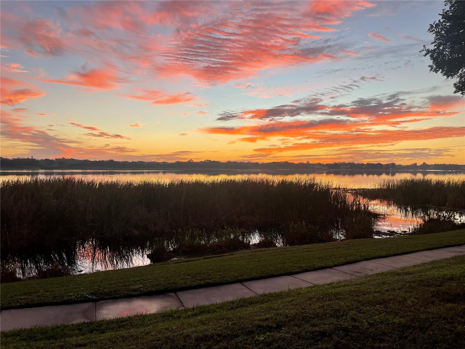 Image 46 of 48 For 10103 Sailwinds Boulevard N 103