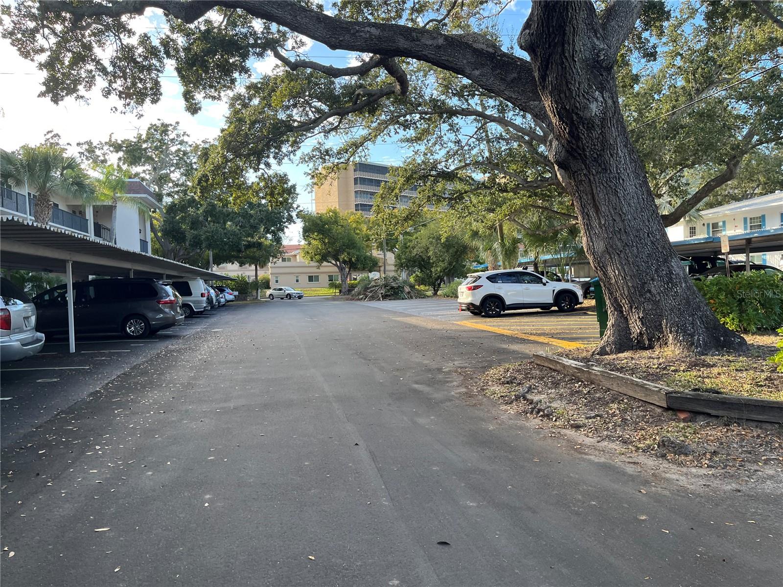 Image 33 of 34 For 871 New York Avenue 104